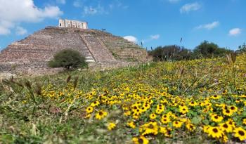 Zona Arqueológica El Cerrito recibirá el Sello de Biodiversidad Querétaro por su compromiso con la conservación ambiental