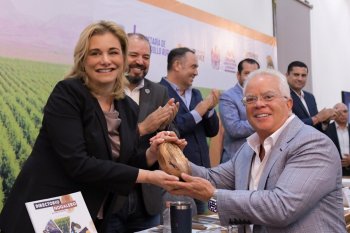 Chihuahua lidera producción nacional de nuez pecanera con más del 60% de la cosecha total