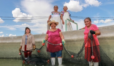 Conapesca impulsa el empoderamiento de 595 mujeres acuacultoras en 14 estados