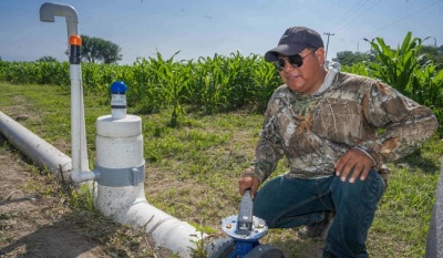 Abren ventanillas para subsidio de energía eléctrica agrícola con apoyo de hasta 95%