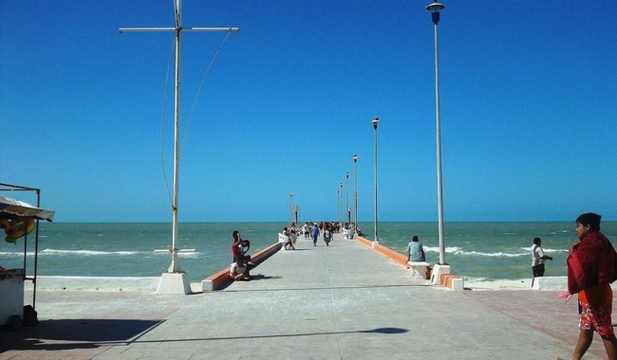 Conapesca establece cuatro nuevas Zonas de Refugio Pesquero en Yucatán, Colima y Baja California Sur