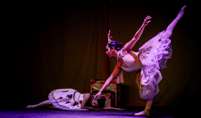 El Cenart rinde homenaje a Vladimir Shklyarov con el ballet El despertar de Flora