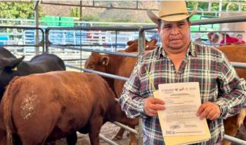 Gobierno federal y Durango fortalecen la ganadería con entrega de 240 sementales y meta de mil para 2026