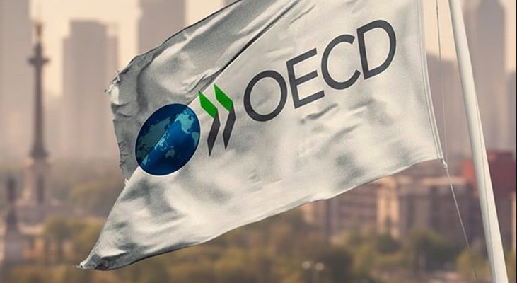 México es designado Vicepresidente del Comité del Acero de la OCDE y busca ser sede de su 100a reunión en 2026