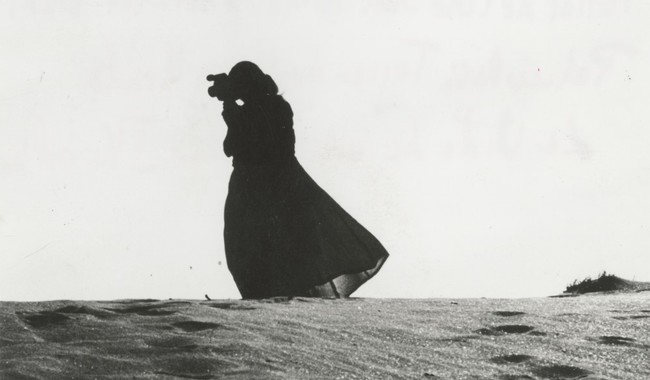 Cineteca Nuevo León celebra el Día Mundial del Patrimonio Audiovisual con la muestra 'Acervos revelados'