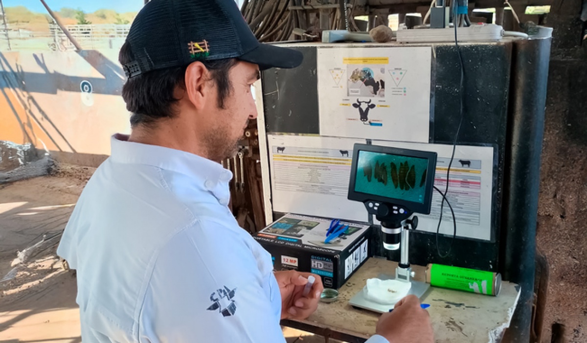 Senasica detecta y controla caso de gusano barrenador del ganado en Jalisco