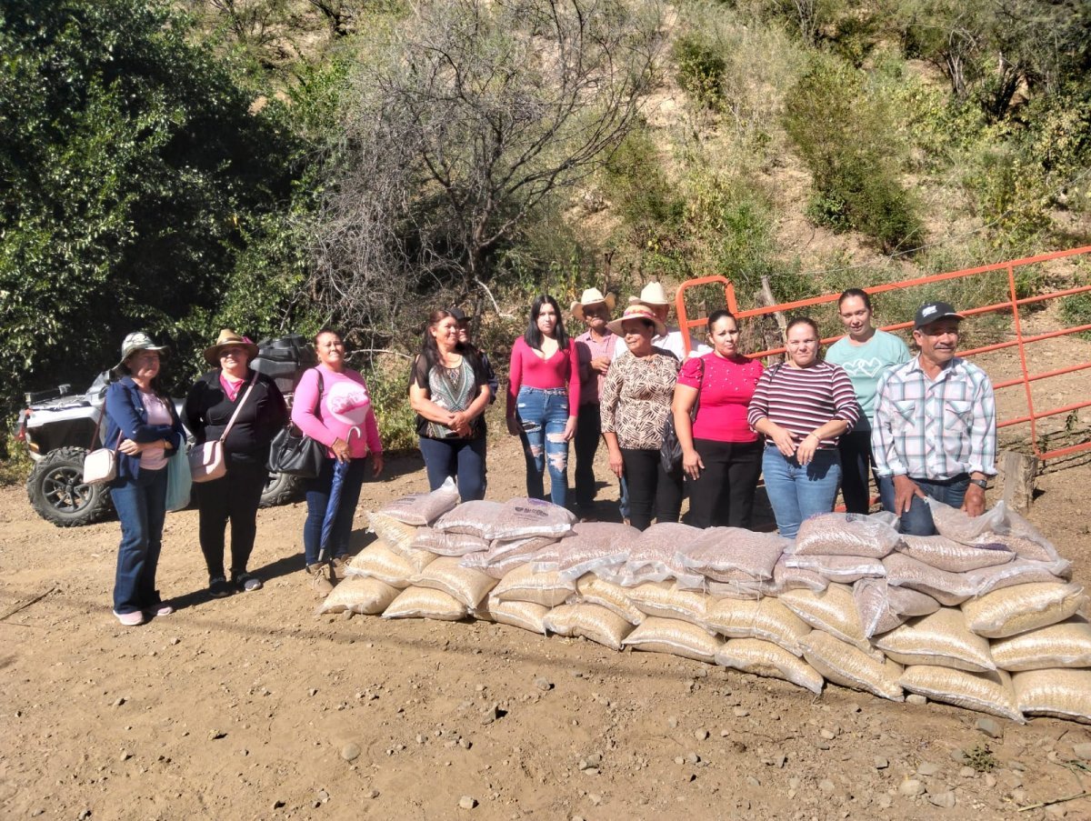 Gobierno de Chihuahua entrega paquetes alimentarios a 200 familias indígenas de Ocampo