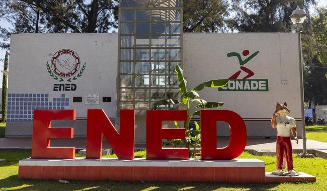 ENED actualiza plan de estudios tras 12 años e impulsa nueva etapa formativa para entrenadores deportivos