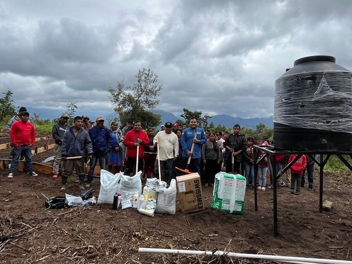 Gobierno de Oaxaca instala 40 huertos pedagógicos que benefician a más de 3 mil personas