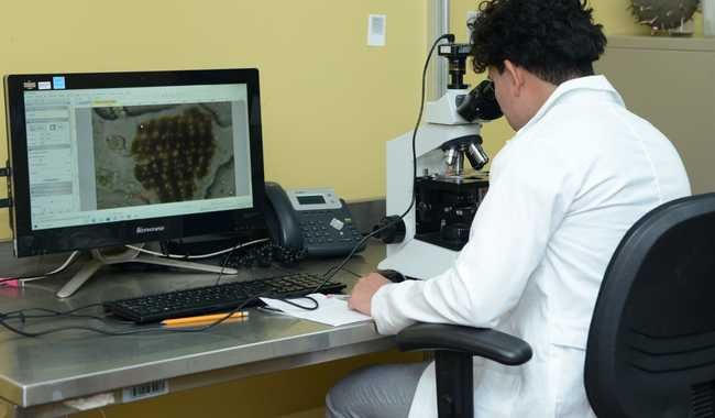 INAH crea Seminario Permanente de Ciencias Sociales y Humanidades Digitales para analizar impacto tecnológico