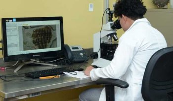 INAH crea Seminario Permanente de Ciencias Sociales y Humanidades Digitales para analizar impacto tecnológico