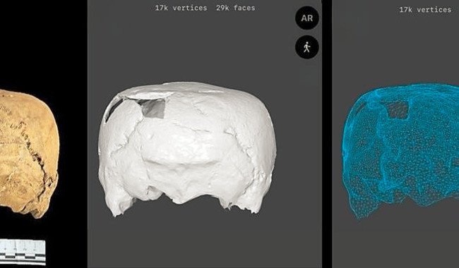 Descubren en Tamaulipas variante única de deformación craneal mesoamericana