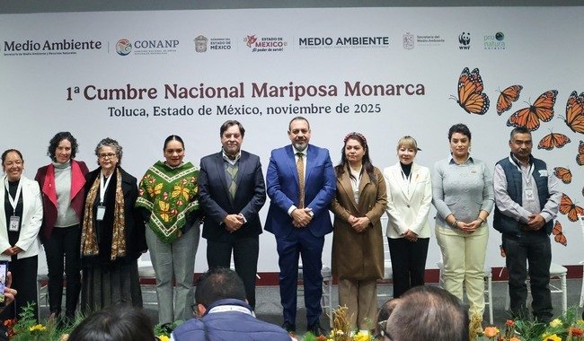 Primera Cumbre Nacional Mariposa Monarca fortalece conservación de ruta migratoria