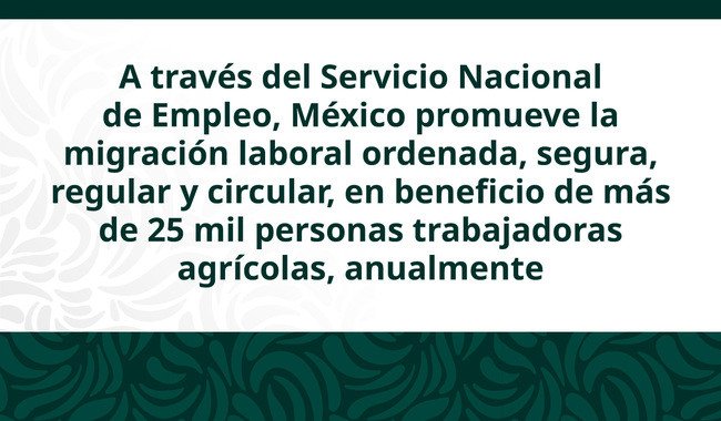 PTAT: 51 años como modelo ejemplar de movilidad laboral México-Canadá