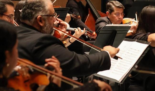 Ofech convoca a violinistas nacionales y extranjeros para integrar sus filas