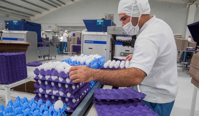 Sector primario lidera crecimiento económico con 2.9% en tercer trimestre de 2025