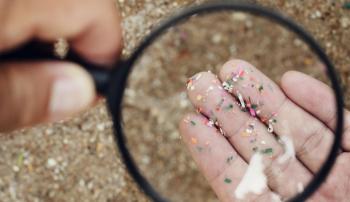 Nanoplásticos alteran función tiroidea según estudio del Instituto de Salud Carlos III