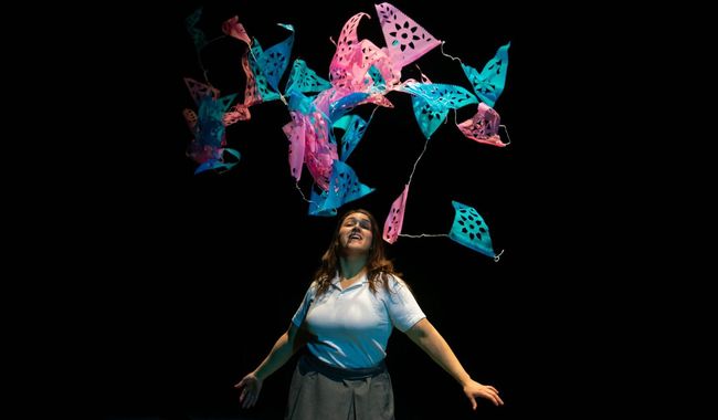 LABAT presenta 'Vuela, Pupa' en el Teatro del IMSS Zacatecas con acceso gratuito