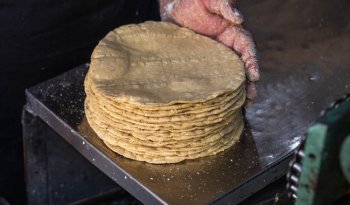 Publican Estándar de Competencia para elaboración de tortillas de maíz en el DOF