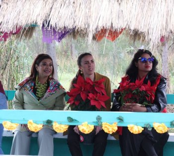 CDMX registra producción récord de más de 1.8 millones de flores de Nochebuena para 2025