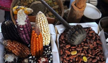 INAH organiza XI Encuentro Internacional de Cocinas con panelistas de 13 países