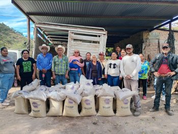 Gobierno entrega 5.6 toneladas de maíz y frijol a 140 familias indígenas de Guazapares