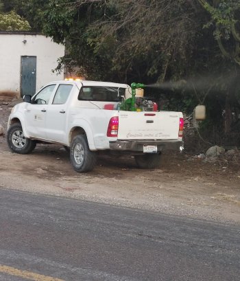 SESA Querétaro alerta sobre incremento de casos de dengue con 96 contagios confirmados