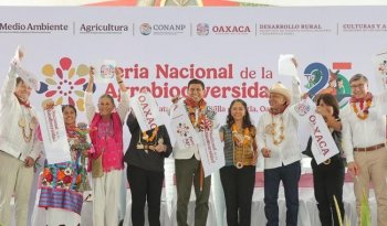 Gobierno federal anuncia programa 'El maíz es la raíz' para proteger maíces nativos en Oaxaca