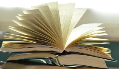 Territorio de Palabras consolida modelo comunitario de los Premios Bellas Artes de Literatura en 2025