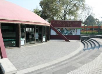 Museo de Historia Natural ofrece actividades ambientales y científicas durante diciembre