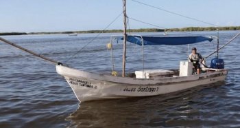 Yucatán amplía cuota de captura de pulpo a 32 mil toneladas para la temporada 2025