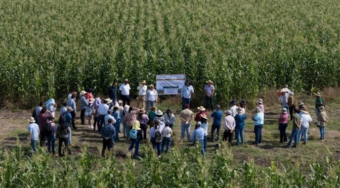 Beca Gertrudis Bocanegra beneficiará a casi 100 mil universitarios michoacanos para combatir abandono escolar