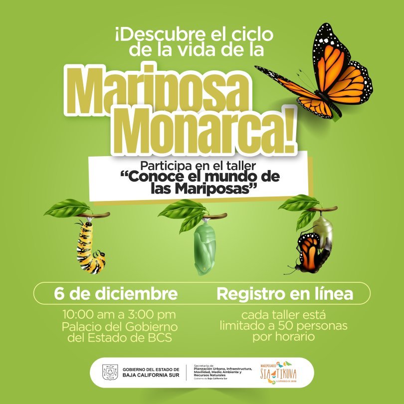 Gobierno Estatal convoca a talleres gratuitos sobre mariposas para fortalecer educación ambiental