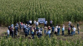 Beca Gertrudis Bocanegra beneficiará a casi 100 mil universitarios michoacanos para combatir abandono escolar