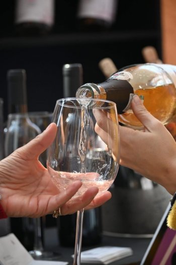 Guanajuato consolida su potencia enológica con 36 medallas en México Selection by CMB 2025