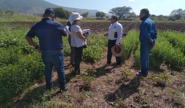 INIFAP fortalece alianzas con CRS y TNC para el desarrollo sustentable en Chiapas