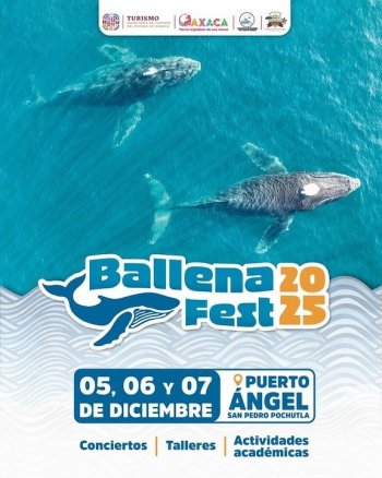 Sectur Oaxaca invita al Ballena Fest 2025 en Puerto Ángel para celebrar la temporada de avistamiento