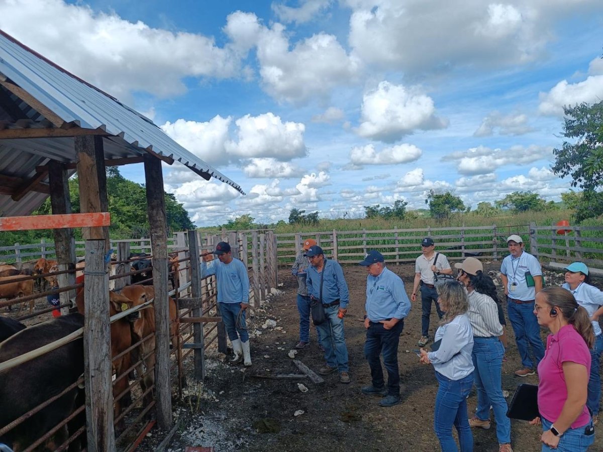 Respalda el Gobierno de Quintana Roo medidas para fortalecer la sanidad ganadera en el estado