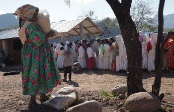 Gobierno entrega 5.6 toneladas de maíz y frijol a comunidades indígenas de Batopilas para impulsar autosuficiencia alimentaria