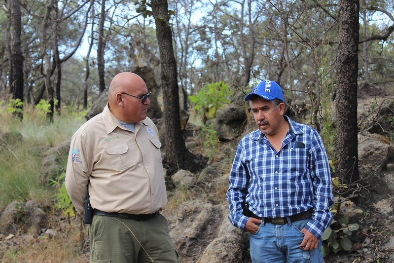 Especialistas internacionales evalúan estrategias de conservación del Bosque La Primavera