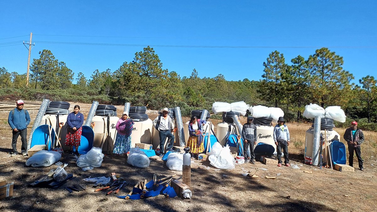 Gobierno distribuye 4 toneladas de maíz y frijol a 200 familias rarámuri en Bocoyna