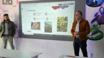 COFOCE y Driscoll's capacitan a productores guanajuatenses para exportar berries