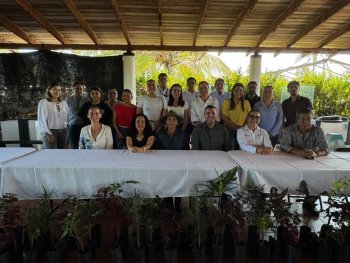 Colima presenta avances en actualización de Ley de Cambio Climático con apoyo de UK PACT y Polea