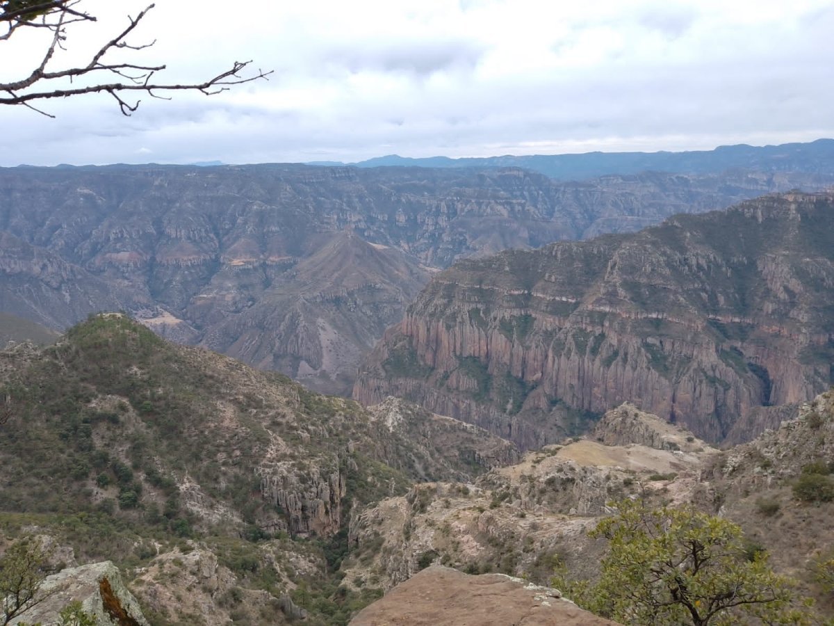Frente Frío 21 provocará temperaturas bajas y heladas en Chihuahua; alertan por vientos fuertes