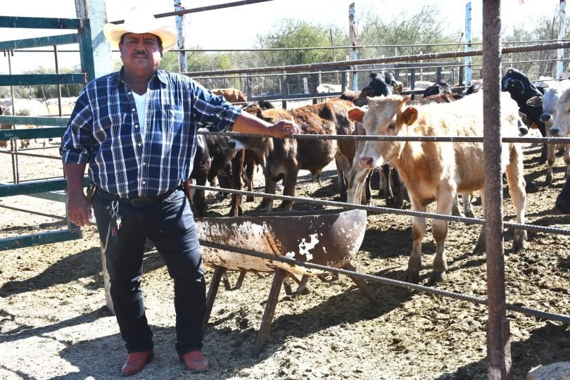 Reformas a Ley Ganadera garantizan permanencia de Seguro de Vida y Programa contra Sequía en BCS