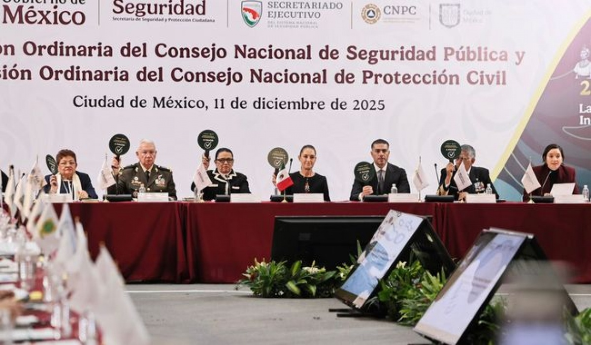 Gobernaci&oacute;n destaca avances en atenci&oacute;n a las causas y construcci&oacute;n de paz en M&eacute;xico