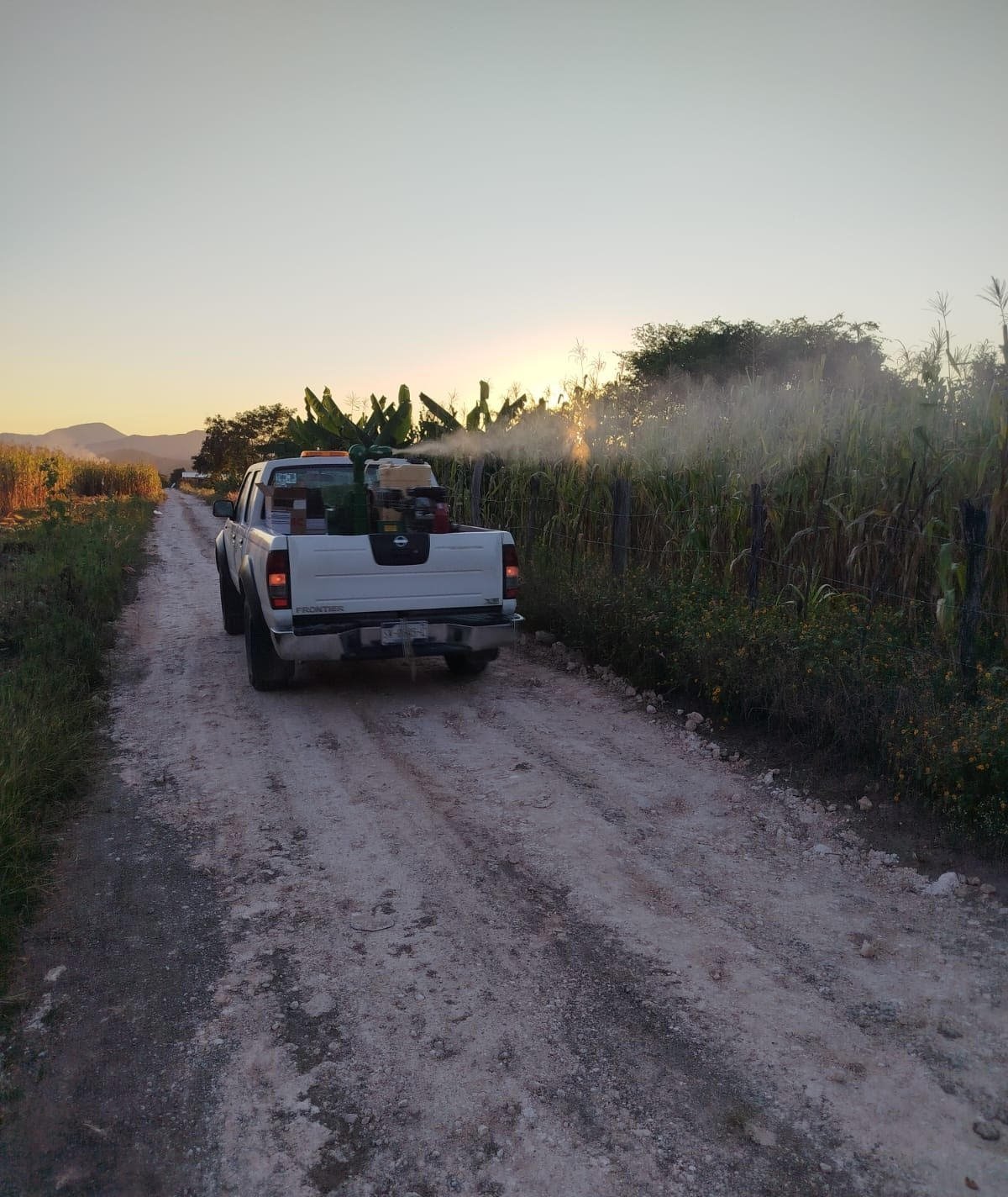 SESA Querétaro exhorta a reforzar medidas preventivas ante incremento de casos de dengue