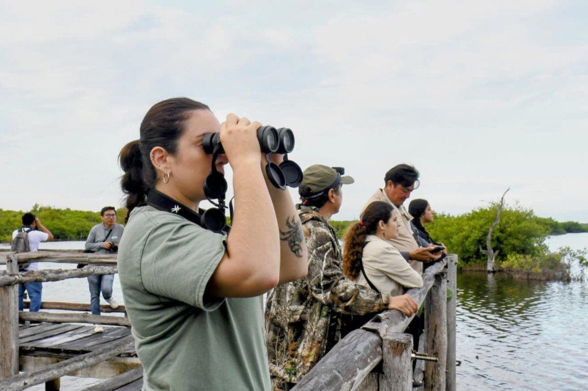 NaturaIsla acerca a la comunidad a la vida silvestre de Cozumel en Punta Sur