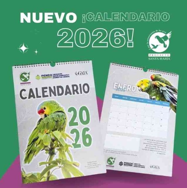 Proyecto Santa Mar&iacute;a impulsa el Calendario de Loros 2026 para apoyar la rehabilitaci&oacute;n de aves silvestres
