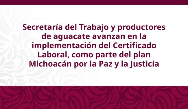 STPS y APEAM acuerdan di&aacute;logo t&eacute;cnico para fortalecer el Certificado Laboral de Agroexportaci&oacute;n en Michoac&aacute;n